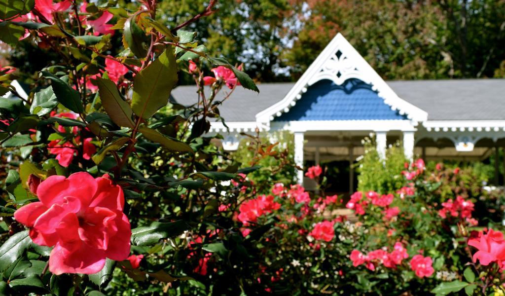 Victoria Inn Гемптон Екстер'єр фото
